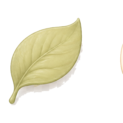 葉っぱの装飾
