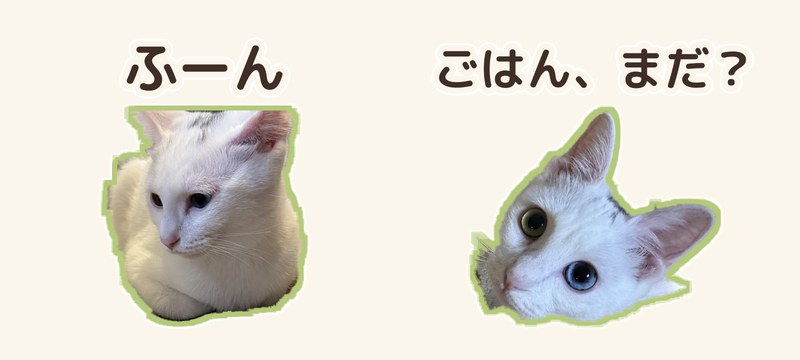「ふーん」と「ごはん、まだ?」の実写スタンプ2枚